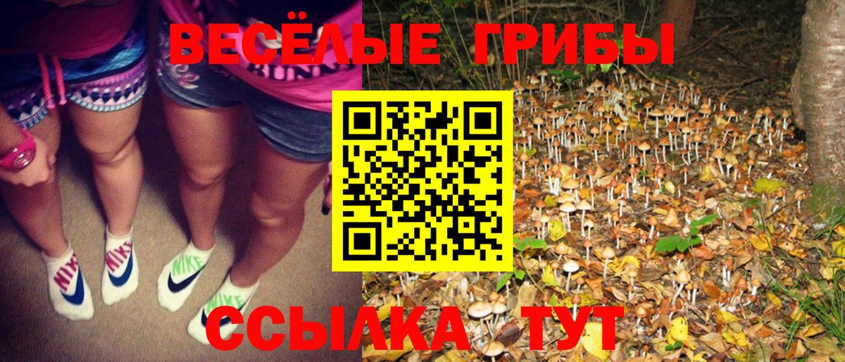 Галлюциногенные грибы мицелий Холмск